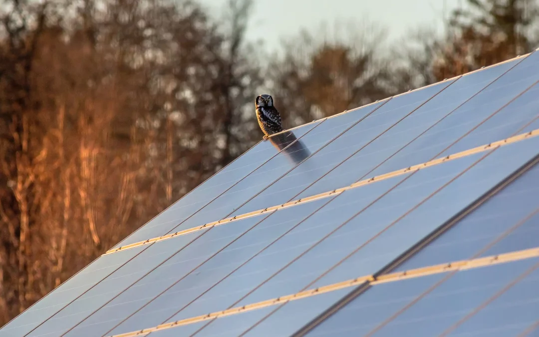 The Solar Solution: How Installing Solar Energy Systems Can Benefit Your Home and the Environment