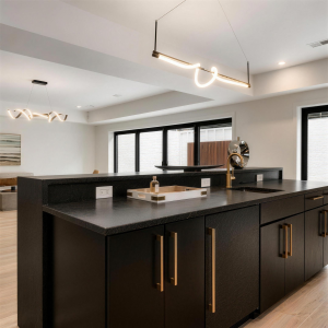 hansborough-25-basement-kitchenette-bar